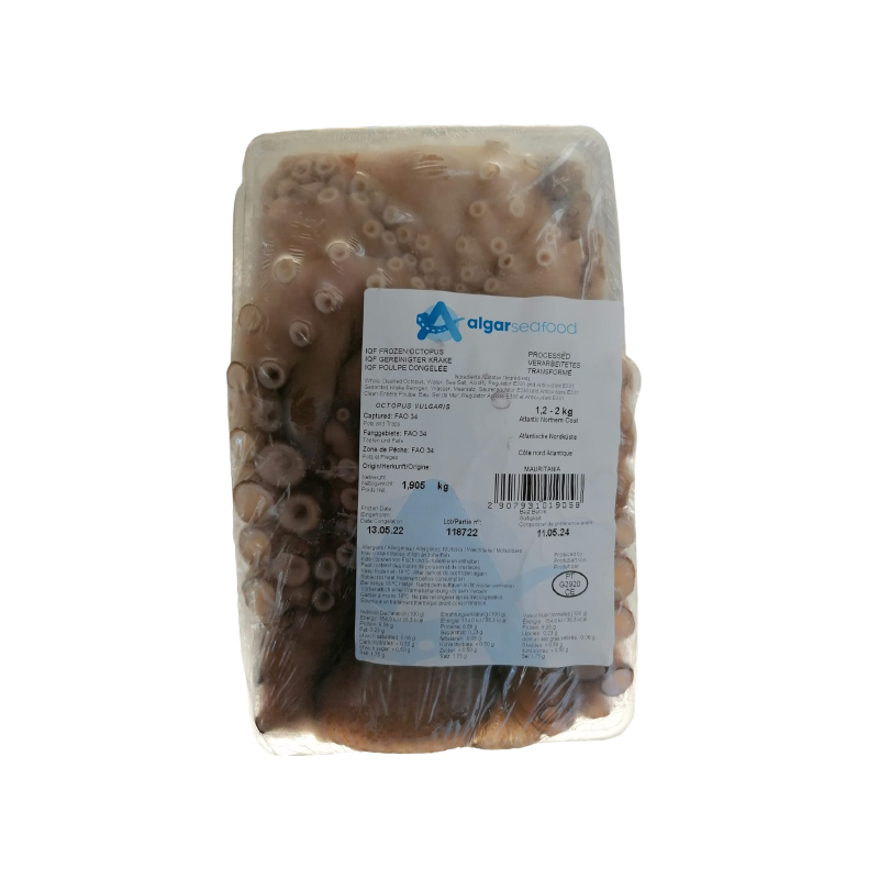 Octopus Pulpo 2-3Kg 